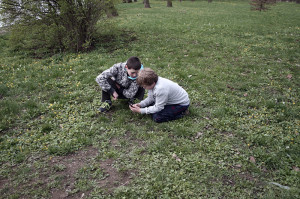 medvedi zavod 72